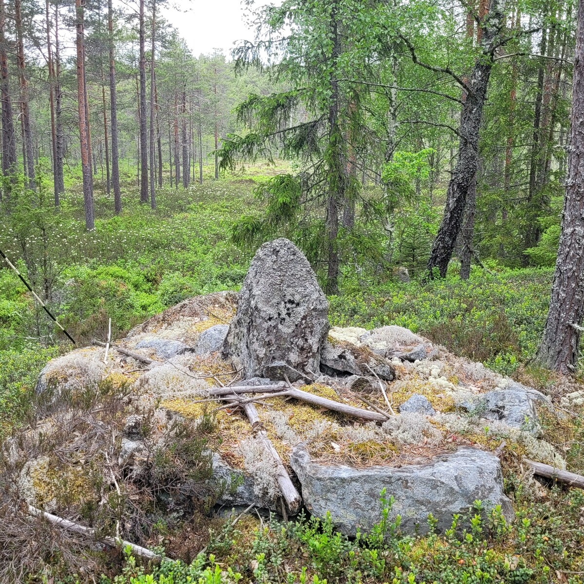 Rågångsvandring sommaren 2025
