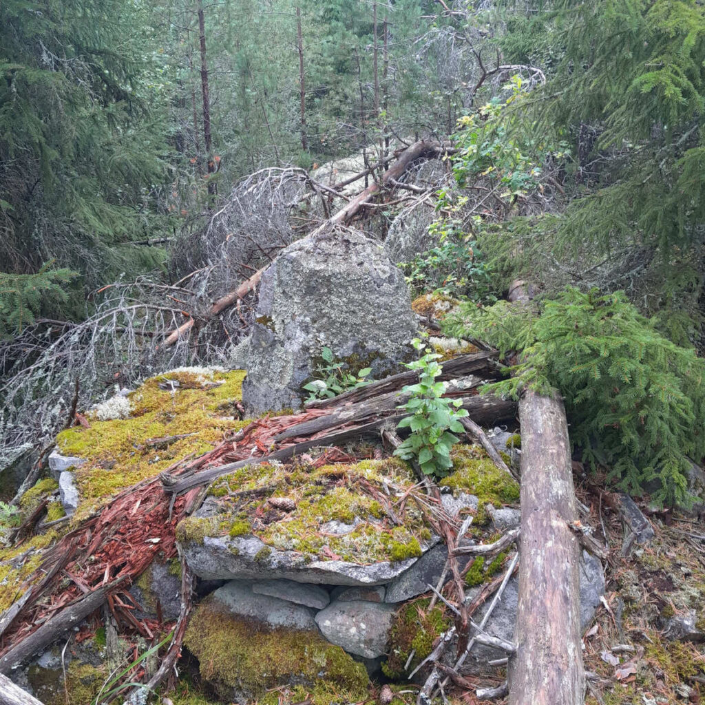 Myrstacksråen